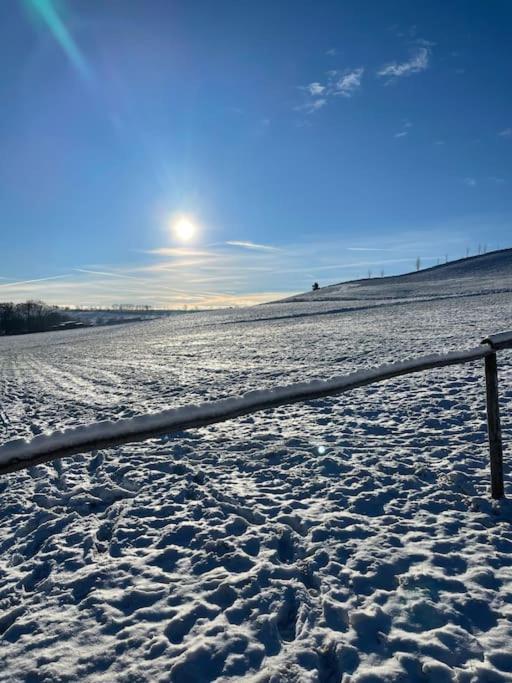 Franzis Feriendomizil Im Herzgebirge Am Skihang Auerbach  Exterior foto