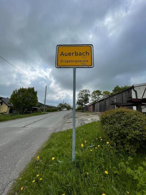 Franzis Feriendomizil Im Herzgebirge Am Skihang Auerbach  Exterior foto