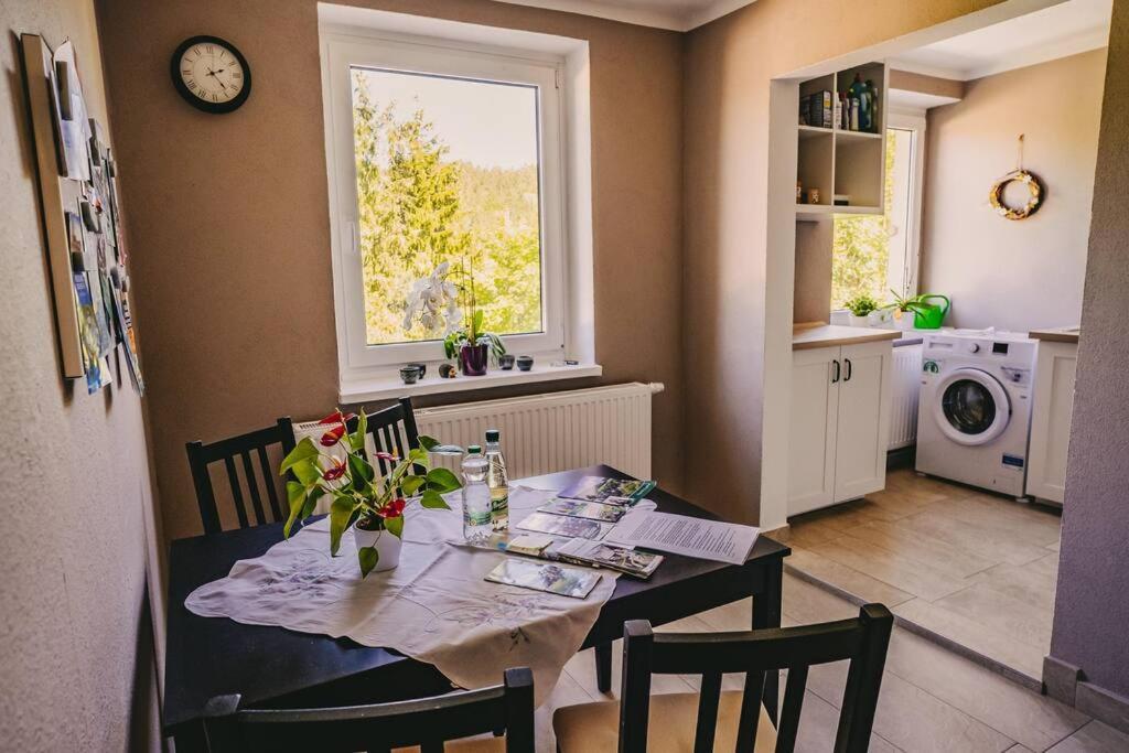 Franzis Feriendomizil Im Herzgebirge Am Skihang Auerbach  Exterior foto