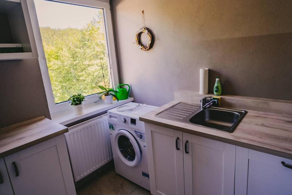 Franzis Feriendomizil Im Herzgebirge Am Skihang Auerbach  Exterior foto